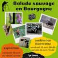 Balade sauvage en Bourgogne