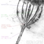 Exposition des élèves de 5ème du collège Claude Guyot