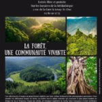 Exposition "La forêt" : une communauté vivante de Yann Arthus-Bertrand